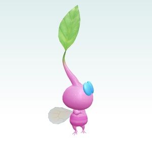 Meet your Posher, Carolyn